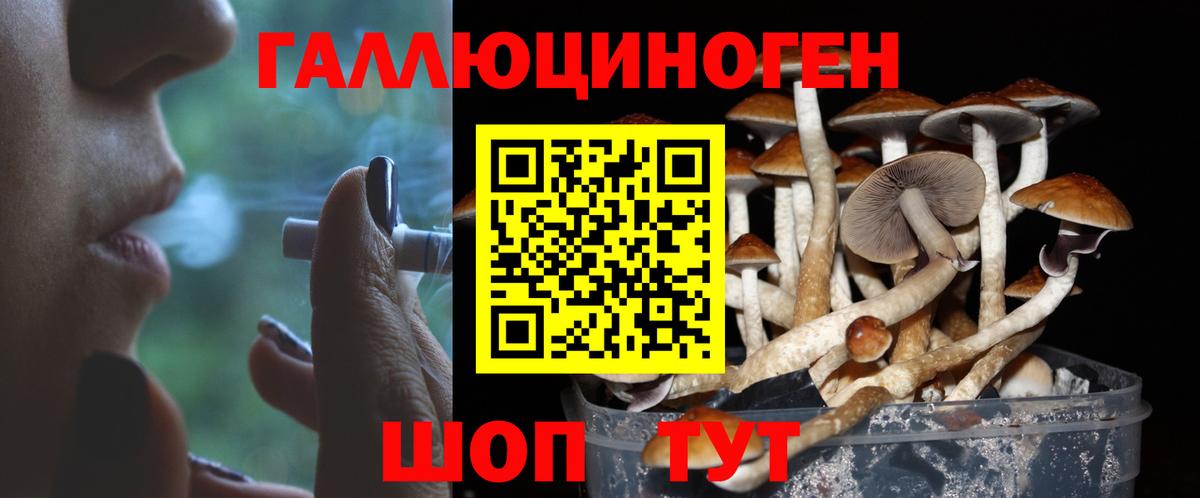 Сертолово  Галлюциногенные грибы GOLDEN TEACHER  Вход с VPN  Галлюциногенные грибы Psilocybe 